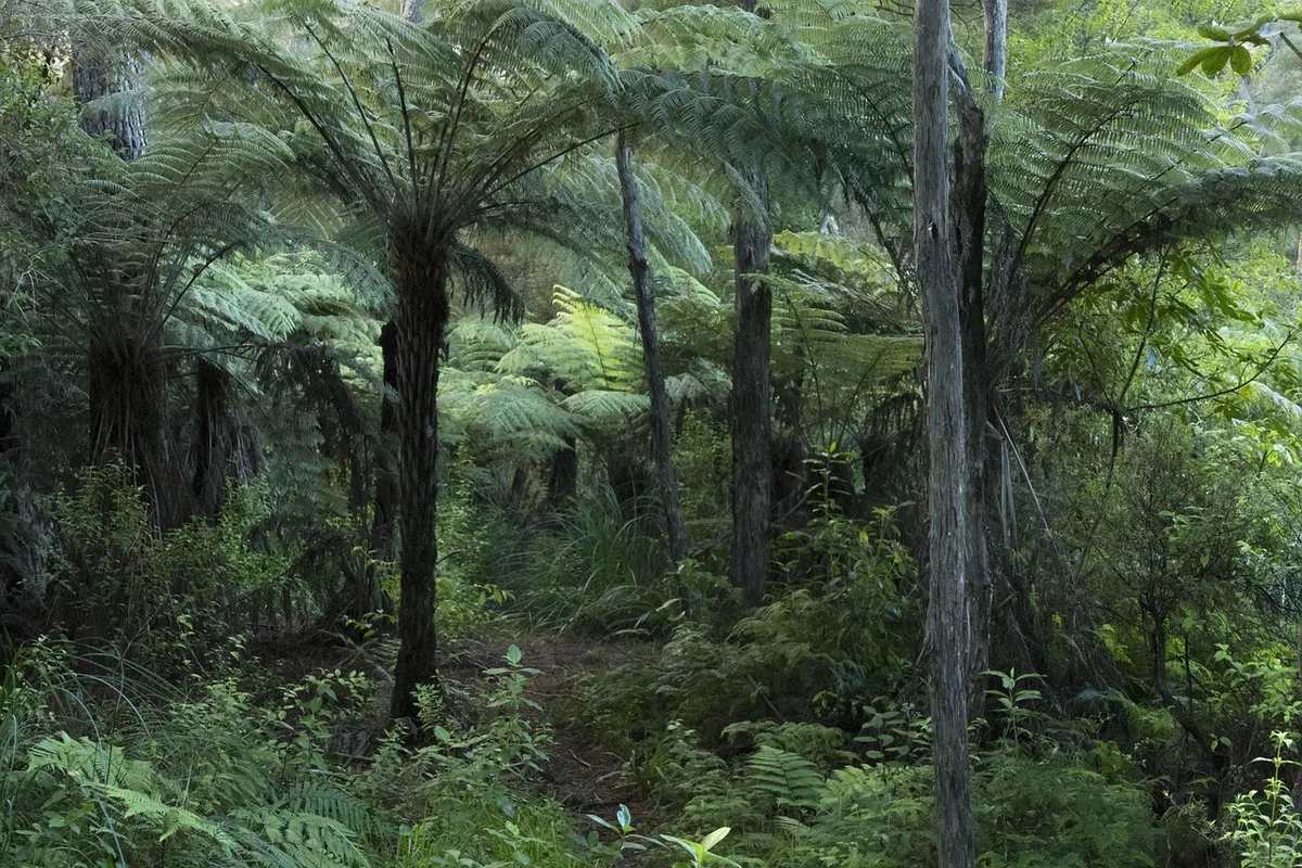 New Zealand