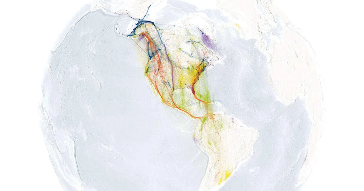 Pelicans' Incredible Migratory Journeys