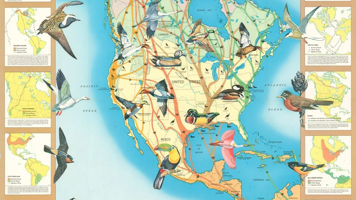 range map
