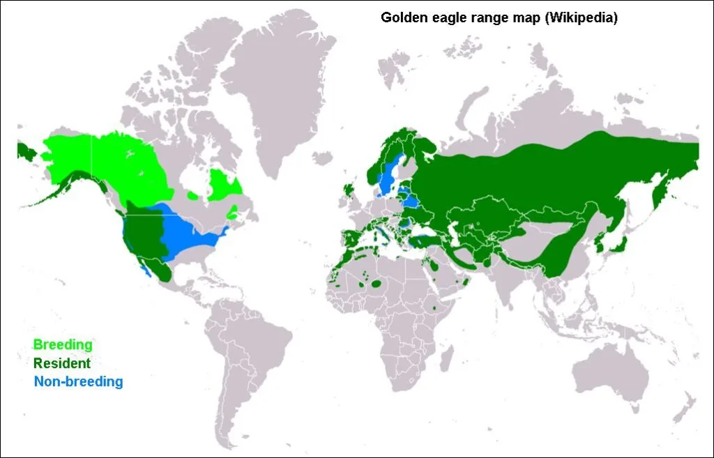 Regional Dietary Differences