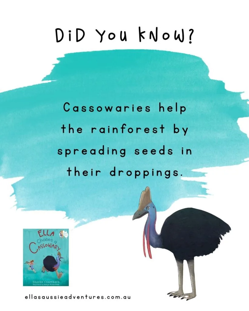 seed dispersal