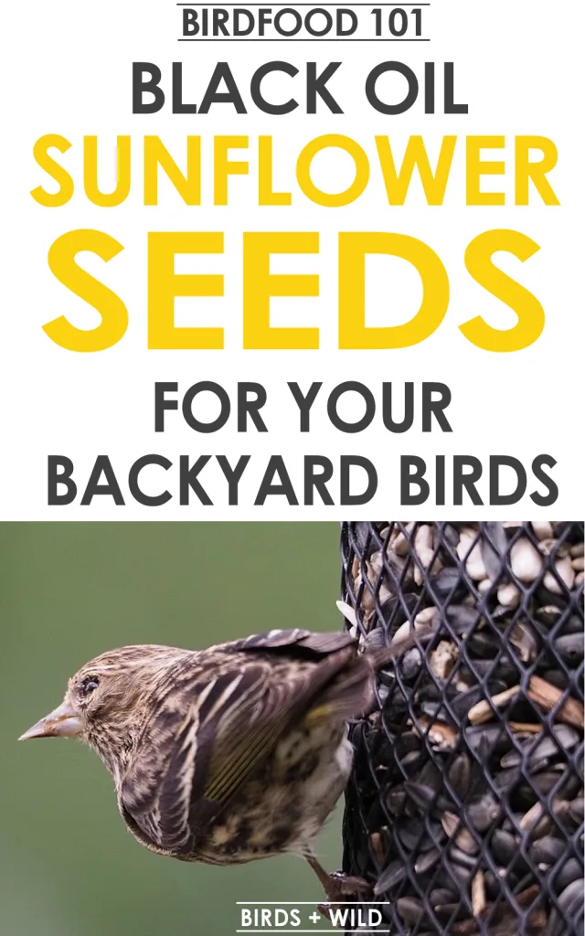 Seeds