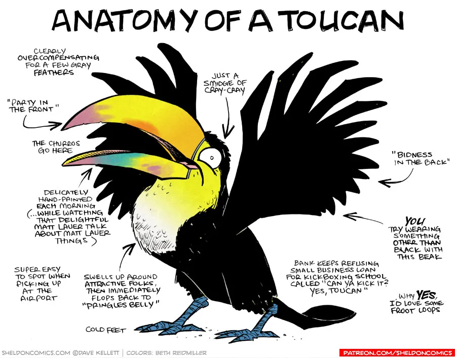 The Science Behind Toucan Flight Limits