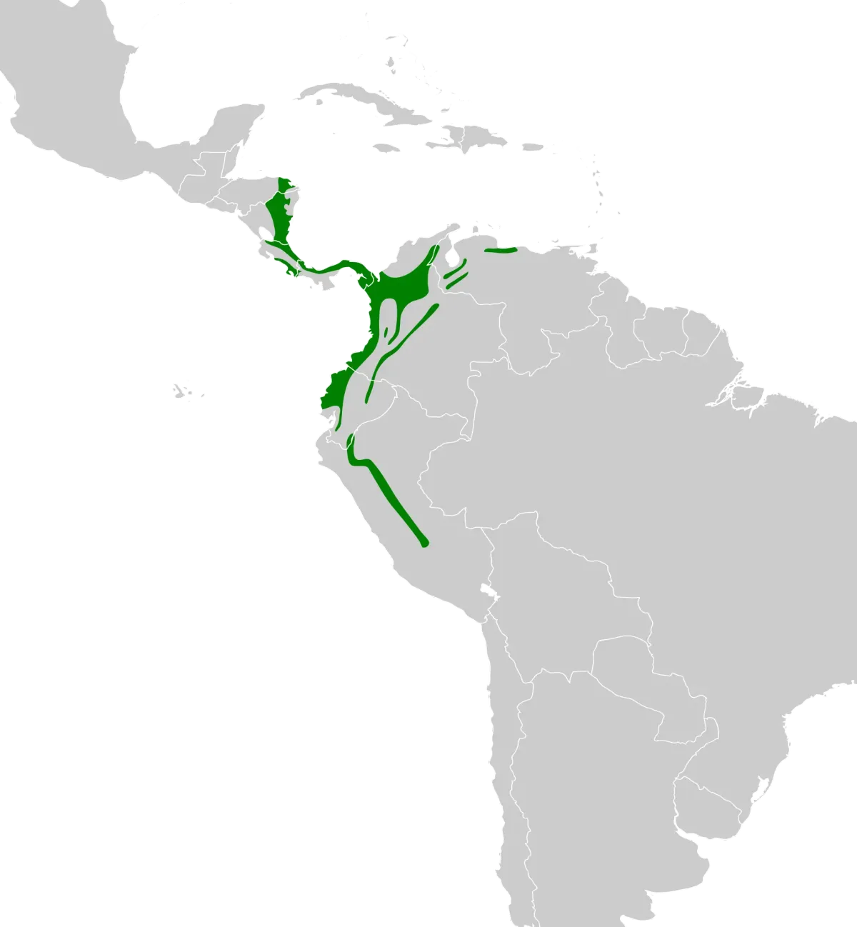 Toucan Habitats