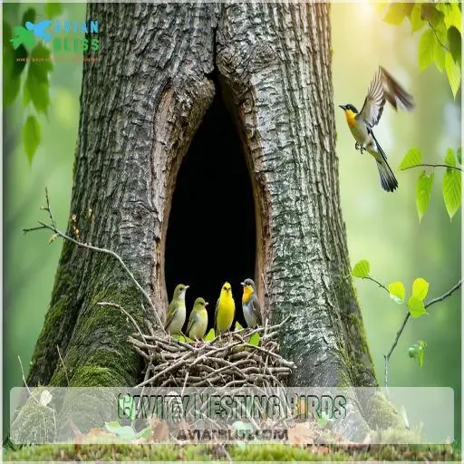 tree cavities