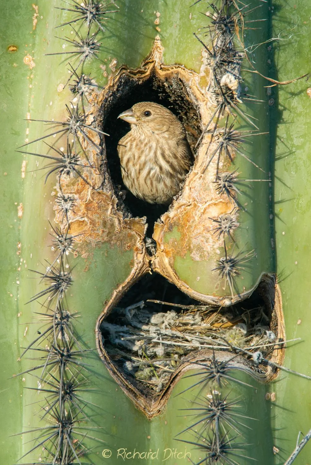Unexpected Places
