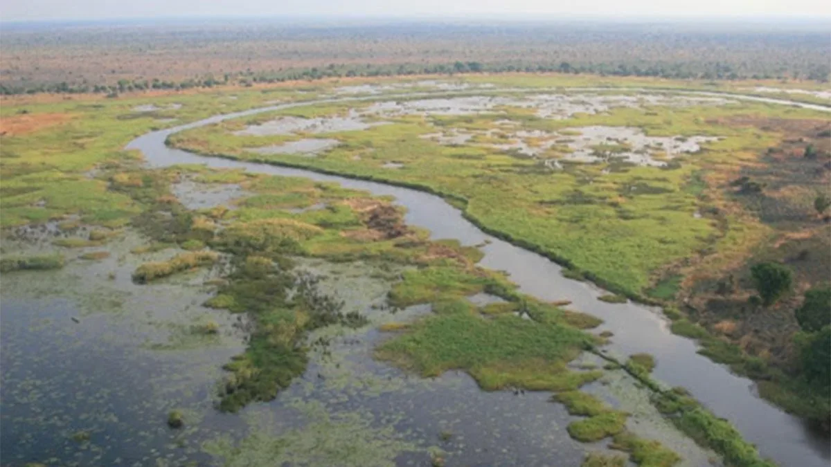 unfenced freshwater swamps
