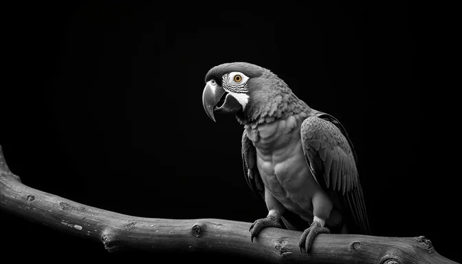 which bird has the longest lifespan