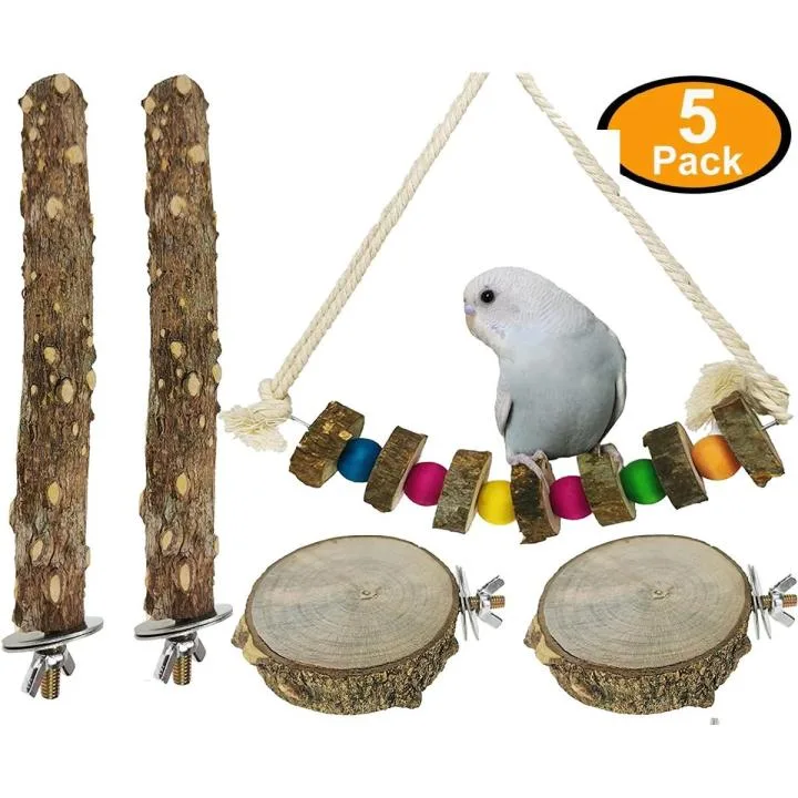 why do parrots chew everything