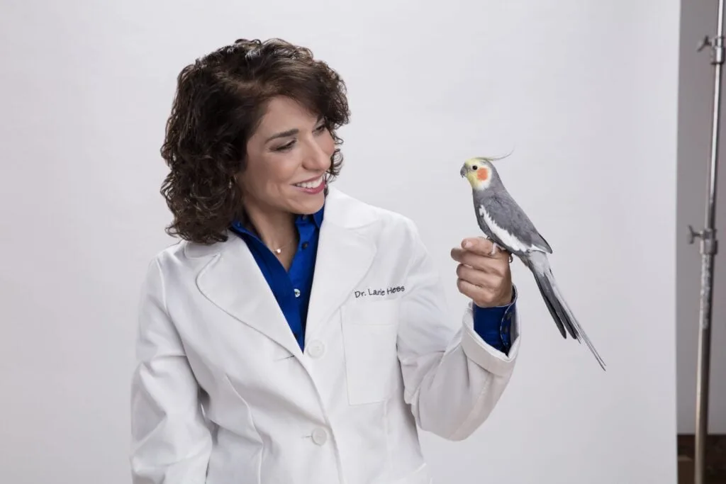 Why Vet Care is Non-Negotiable