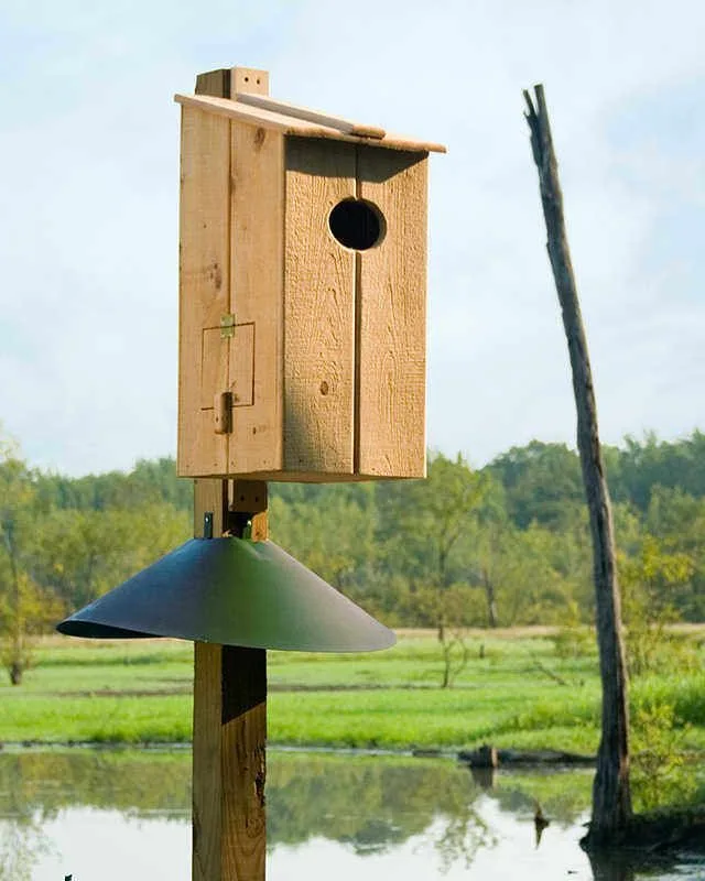 wood duck boxes